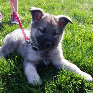 Meet your Posher, Kristen